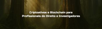 Criptoativos e Blockchain Para Profissionais do Direito e Investigadores